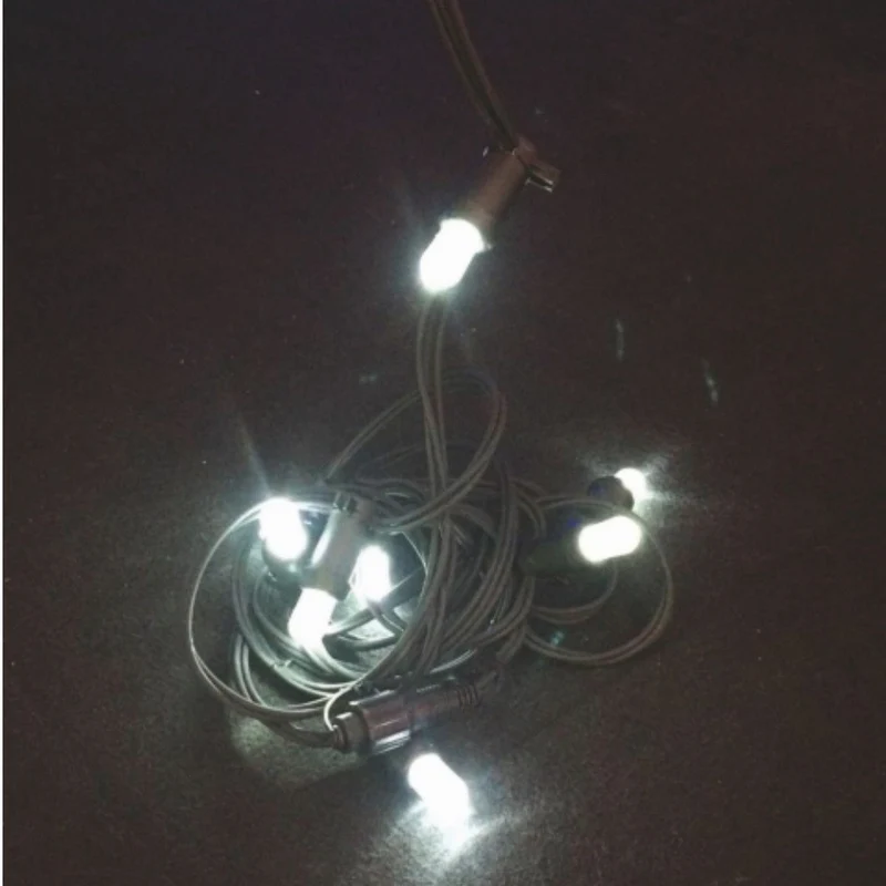 Catena Luminosa 20 Led Bianco per Esterno 10 Metri