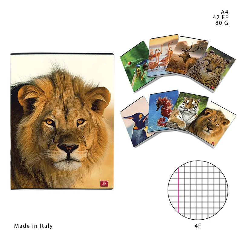 Pigna Quaderno Maxi A4 42FF 80g 4F Animal
