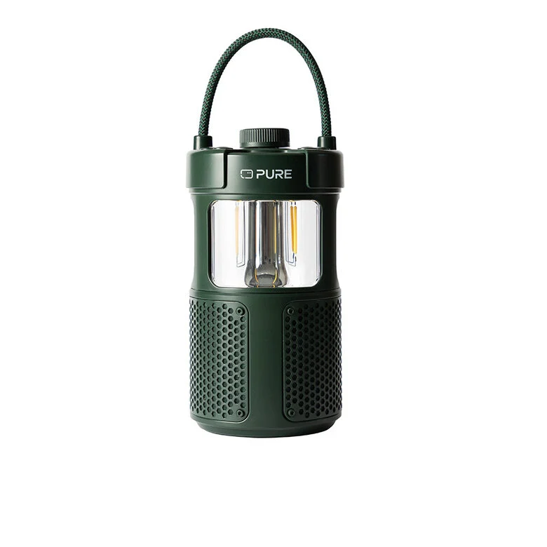 Pure 252584 altoparlante portatile e per feste Verde 20 W